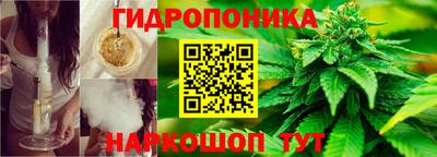 молекула духа Кимры