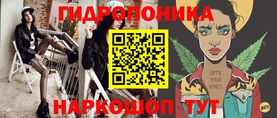 молекула духа Кингисепп