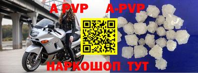 молекула духа Кингисепп