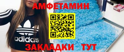 молекула духа Кингисепп